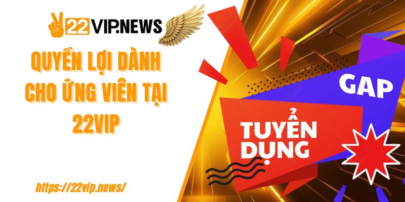 Quyền lợi dành cho ứng viên tại 22VIP