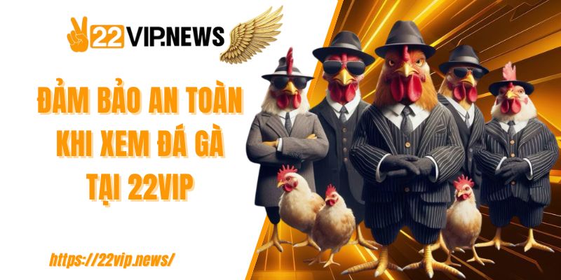 Đảm bảo an toàn khi xem đá gà tại 22VIP