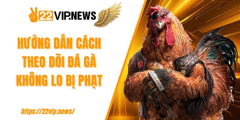 Hướng dẫn cách theo dõi đá gà không lo bị phạt