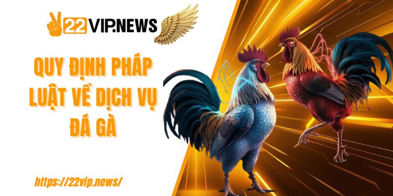 Quy định pháp luật về dịch vụ đá gà